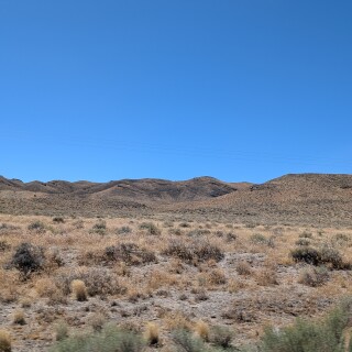 647a62ecd5d81788d109e9d7d1e40621