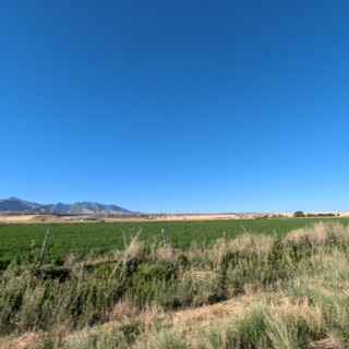 9b1dccca0a30ce395e065c1301243c4a